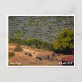 Cambodian Village Landscape Postcard Feiertagspostkarte (Vorderseite)