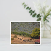 Cambodian Village Landscape Postcard Feiertagspostkarte (Stehend Vorderseite)