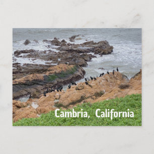 Cambria Kalifornien Postkarte