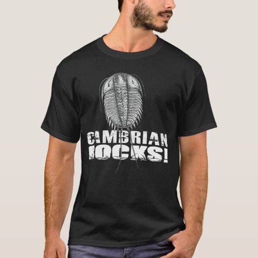 Cambrian Rocks Mädchen T-Shirt (Vorderseite)