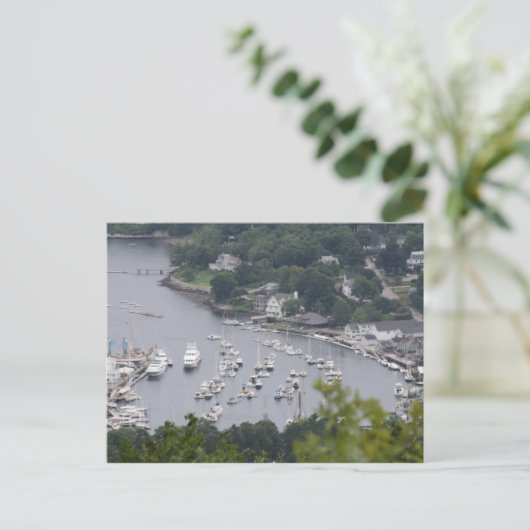 Camden Harbor Postkarte (Stehend Vorderseite)