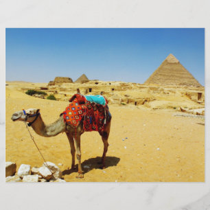 Camel