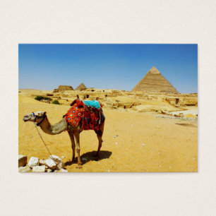 Camel