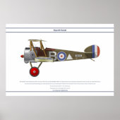 Camel 43 Sqn Poster (Vorne)