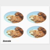 Camel Animal Portrait Foto Ovaler Aufkleber (Blatt)