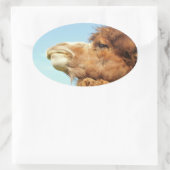 Camel Animal Portrait Foto Ovaler Aufkleber (Tasche)