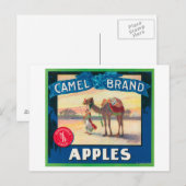 Camel Apple Label - Staat in Washington Postkarte (Vorne/Hinten)