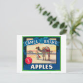 Camel Apple Label - Staat in Washington Postkarte (Stehend Vorderseite)