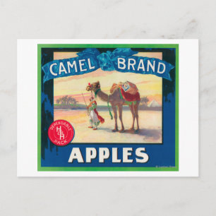 Camel Apple Label - Staat in Washington Postkarte