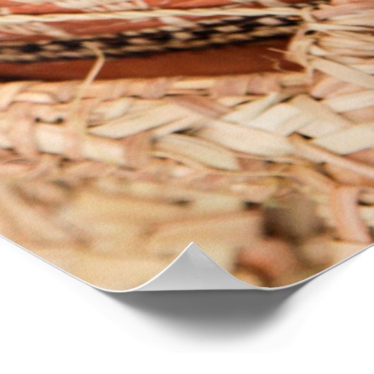 Camel Basket von Sultanat Oman Poster (Ecke)