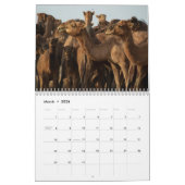 Camel Calendar Kalender (Mär 2026)