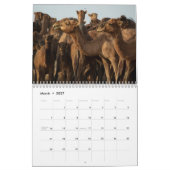 Camel Calendar Kalender (Mär 2027)