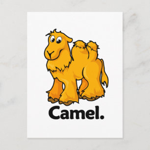 Camel Camel. Postkarte