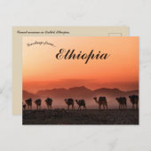 Camel Caravan in Dallol Äthiopien Postkarte (Vorne/Hinten)