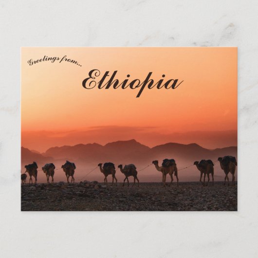 Camel Caravan in Dallol Äthiopien Postkarte (Vorderseite)