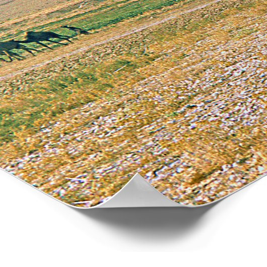 Camel Caravan Poster (Ecke)