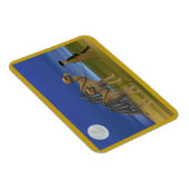 Camel Caravan Premium Magnet (Rechte Seite)