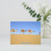 Camel Caravan, Thar Desert, Indien Postkarte (Stehend Vorderseite)