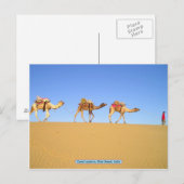 Camel Caravan, Thar Desert, Indien Postkarte (Vorne/Hinten)