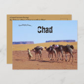 Camel Caravan Verlasst das Dorf Demi im Tschad Postkarte (Vorne/Hinten)