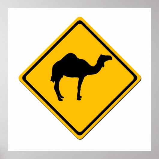 Camel Crossing Poster (Vorne)