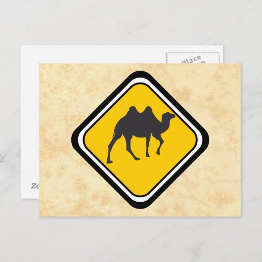 Camel Crossing Postkarte (Vorne/Hinten)