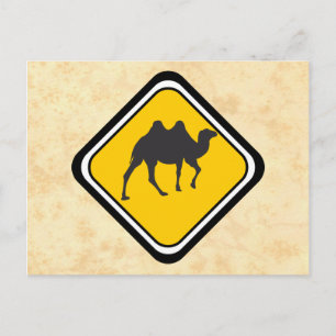 Camel Crossing Postkarte