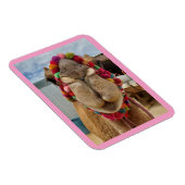 Camel Cuteness Pink Magnet (Rechte Seite)