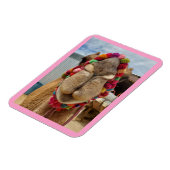 Camel Cuteness Pink Magnet (Linke Seite)