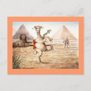 Camel Dance Postcard Postkarte