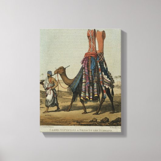 Camel, die eine Bride an ihren Ehemann überbringen Leinwanddruck (Vorderseite)
