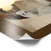Camel Family Fotodruck (Ecke)