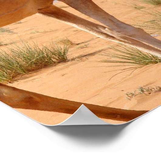 Camel für Arabs Poster Print (Ecke)