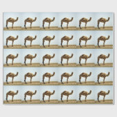 Camel Geschenkpapier (Flach)