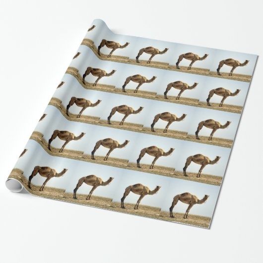 Camel Geschenkpapier (Ungerollt)