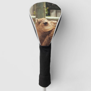 Camel Golf Headcover