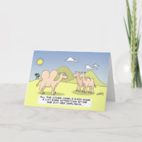 Camel Implant - Geburtstag