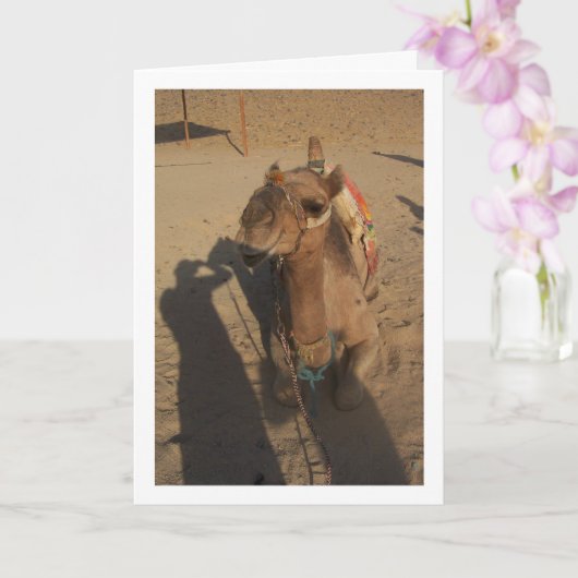 Camel in Fotoshooting Karte (Orchidee)