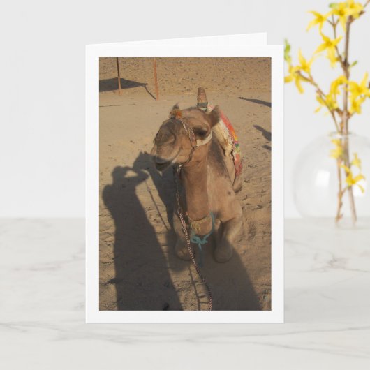 Camel in Fotoshooting Karte (Gelbe Blume)
