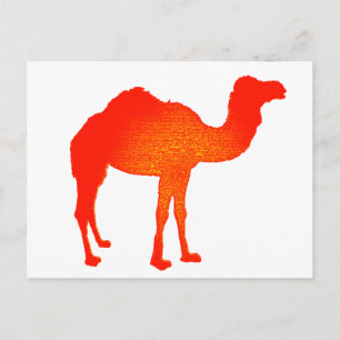 Camel in Rot Postkarte