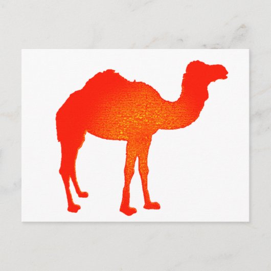 Camel in Rot Postkarte (Vorderseite)