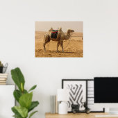Camel in the desert poster (Heimbüro)