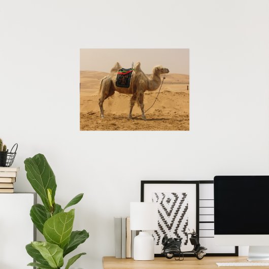 Camel in the desert poster (Heimbüro)