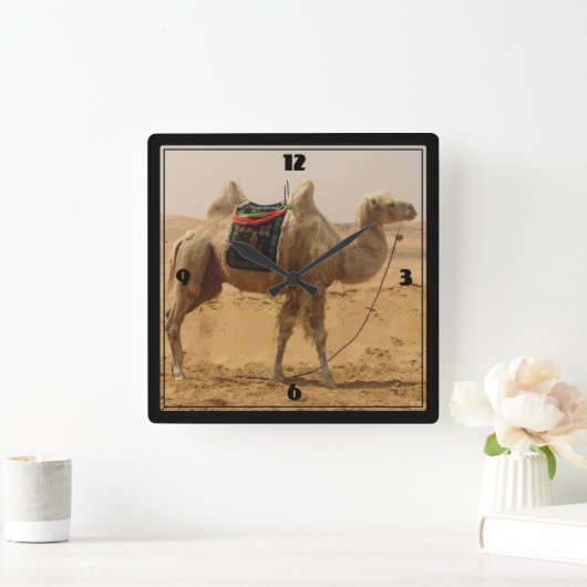 Camel in the desert quadratische wanduhr (Zuhause)