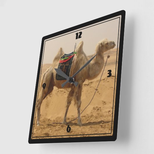 Camel in the desert quadratische wanduhr (Winkel)