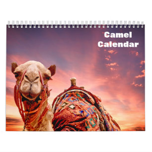 Camel Kalender