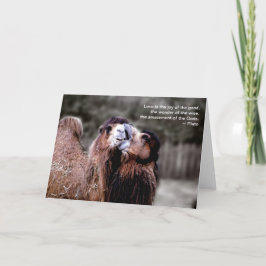 "Camel Kiss - Liebe ist . ." Karte