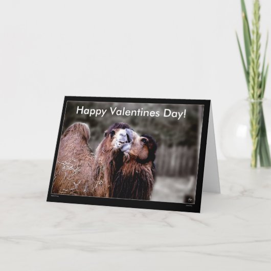 Camel Kiss - Valentinstag Card Feiertagskarte (Vorderseite)