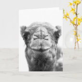 Camel Kisses Fun Foto Grußkarten schließen Karte (Gelbe Blume)