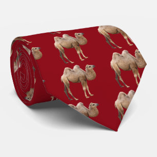Camel Krawatte